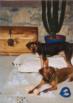 Gut gemacht Luna :-)