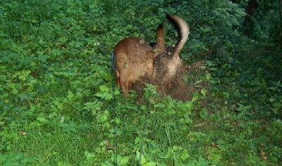 Wir k&ouml;nnen das! Hier fliegt die Erde...
