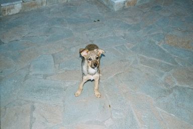 Der entz&uuml;ckende Claude