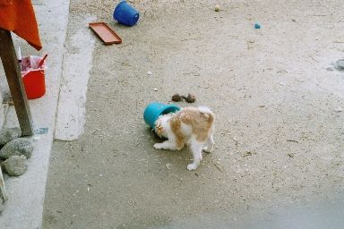 Das im Eimer ist Rodi :-)