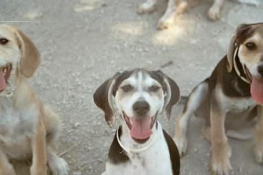 Ohne Worte :-) - Aimee