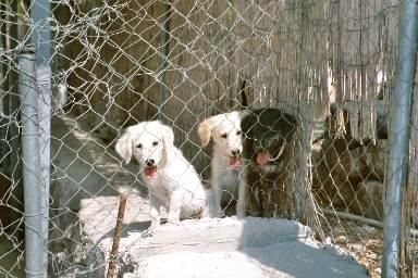 Anatol, Achilles und Aida