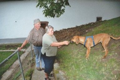 Lambis/Sam und seine Adoptiveltern