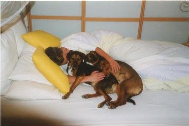 Bei dem Wetter sind wir immer m&uuml;de...