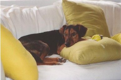 Wann kommst Du spielen?