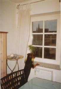 Luna - ich glaube sie kommen nun gleich!