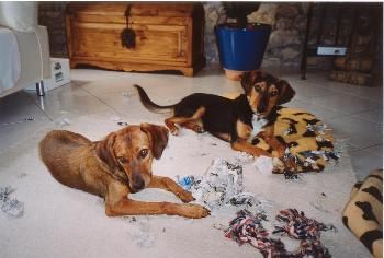 was denn? In der Zeitung stand doch nuuuur Mist?!