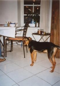 und wie bitte sollen wir da hoch kommen?