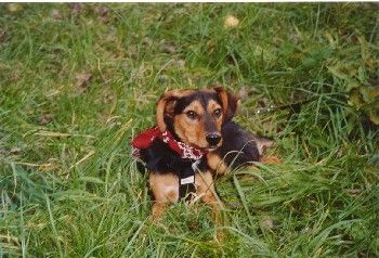 N&ouml;&ouml;&ouml;&ouml;hhhh - ich gehe jetzt hier nicht weg!