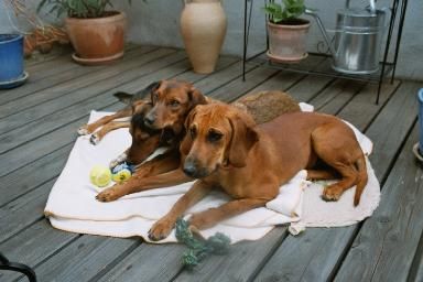 Ein sch&ouml;nes Dreiergespann