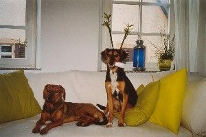 Bekomme ich auch eine??