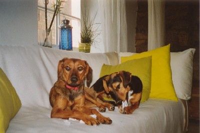 Mhm - ich weiss noch nicht, was ich von all dem halten soll?!