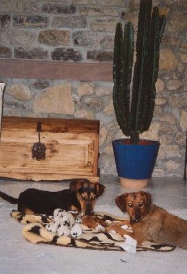 der ist doch ganz nett! :-)