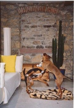 Ich beiss Dich - Nein ICH beiss DICH!