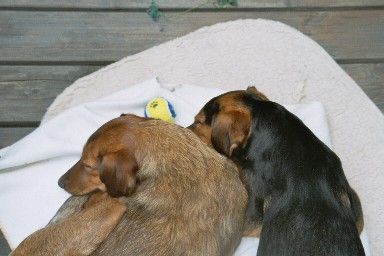 ....wieder allein zu zweit...