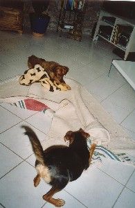 Boah - soe ein sch&ouml;nes gro&szlig;es Spielzeug :-)