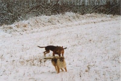 Flox und Luna mit Lisa