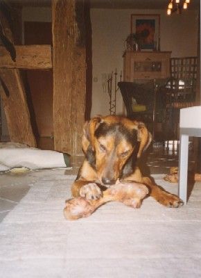 Ganz einfach tragen - Luna!