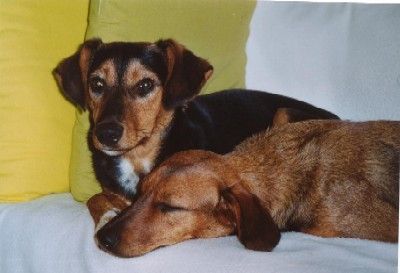 Das ist meine kleine Schwester :-) - die ist IMMER m&uuml;de!