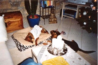 Flox der Krankenpfleger