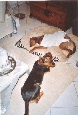 Wann wacht Luna wieder auf?