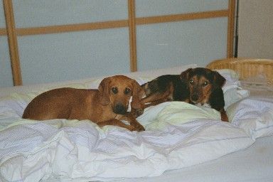 ...hier aber auch,,,