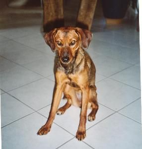 Unsere Sorgenf&auml;ltchen-Luna :-)