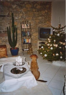 Das ist vielleicht tolle Musik!