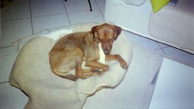 Boah - ist der GROSS man!