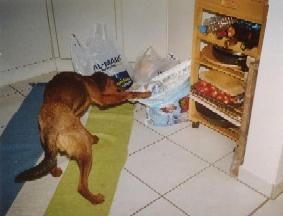 ....na komm schon....