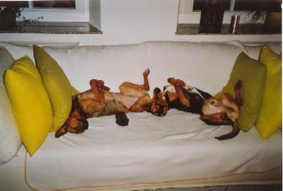 endlich ist da draussen Ruhe!