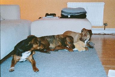 Wir drei - auf dem Teppich :-))